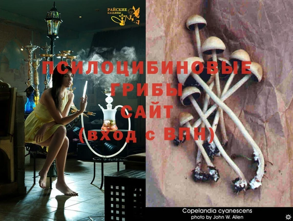 марки nbome Алексеевка