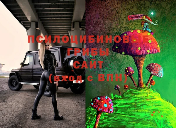 сатива Алексин