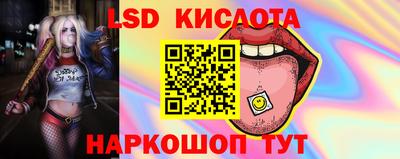 эйфоретик Белореченск