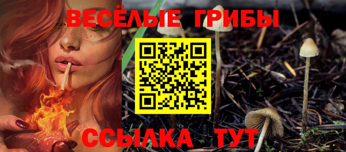 Псилоцибиновые грибы Psilocybine cubensis  Вход с VPN  продажа наркотиков  Бирск 